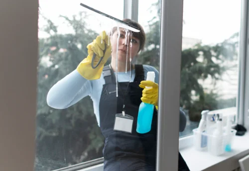 Nettoyage de vitres intérieures et extérieures à Tours-en-Savoie